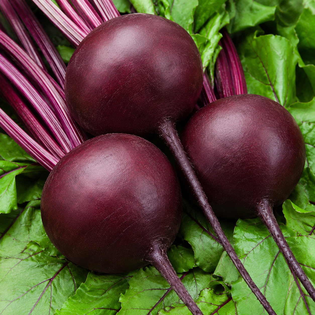 Close up of Beet Roots