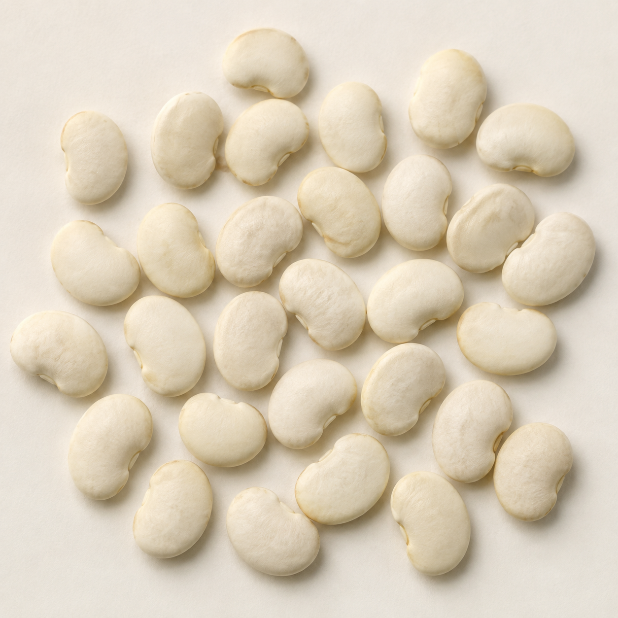Small, flattened, creamy-white Henderson lima beans with rounded kidney-shaped contours on a neutral background.