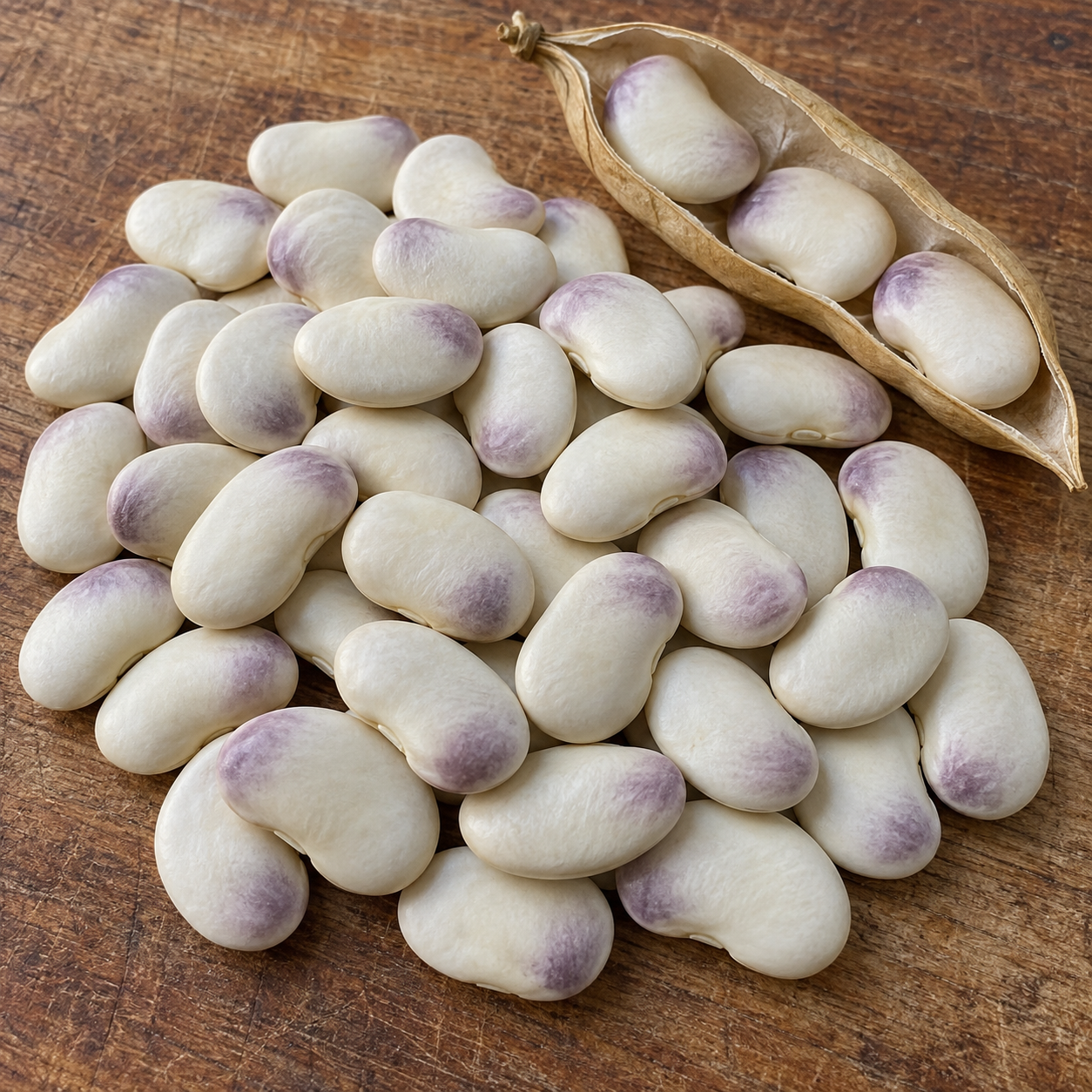 Natural pile of large ivory-white White Christmas lima beans, each with a soft lavender-purple blush near one end, beside an opened dry pod.