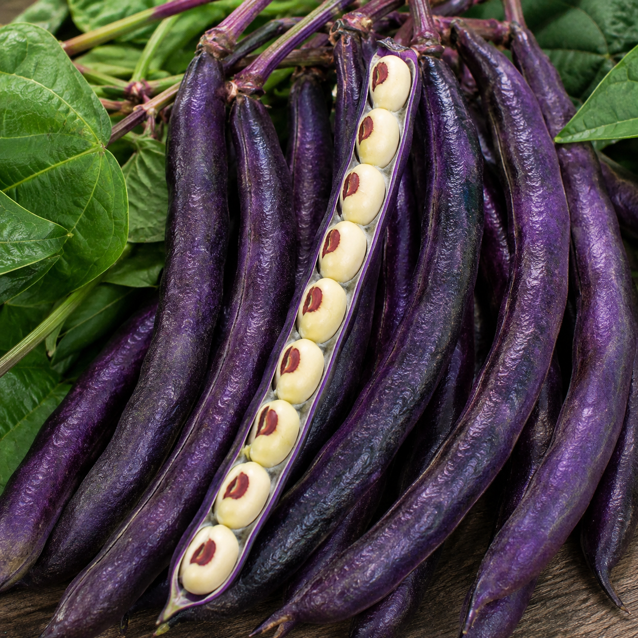 Pinkeye Purple Hull  Pea