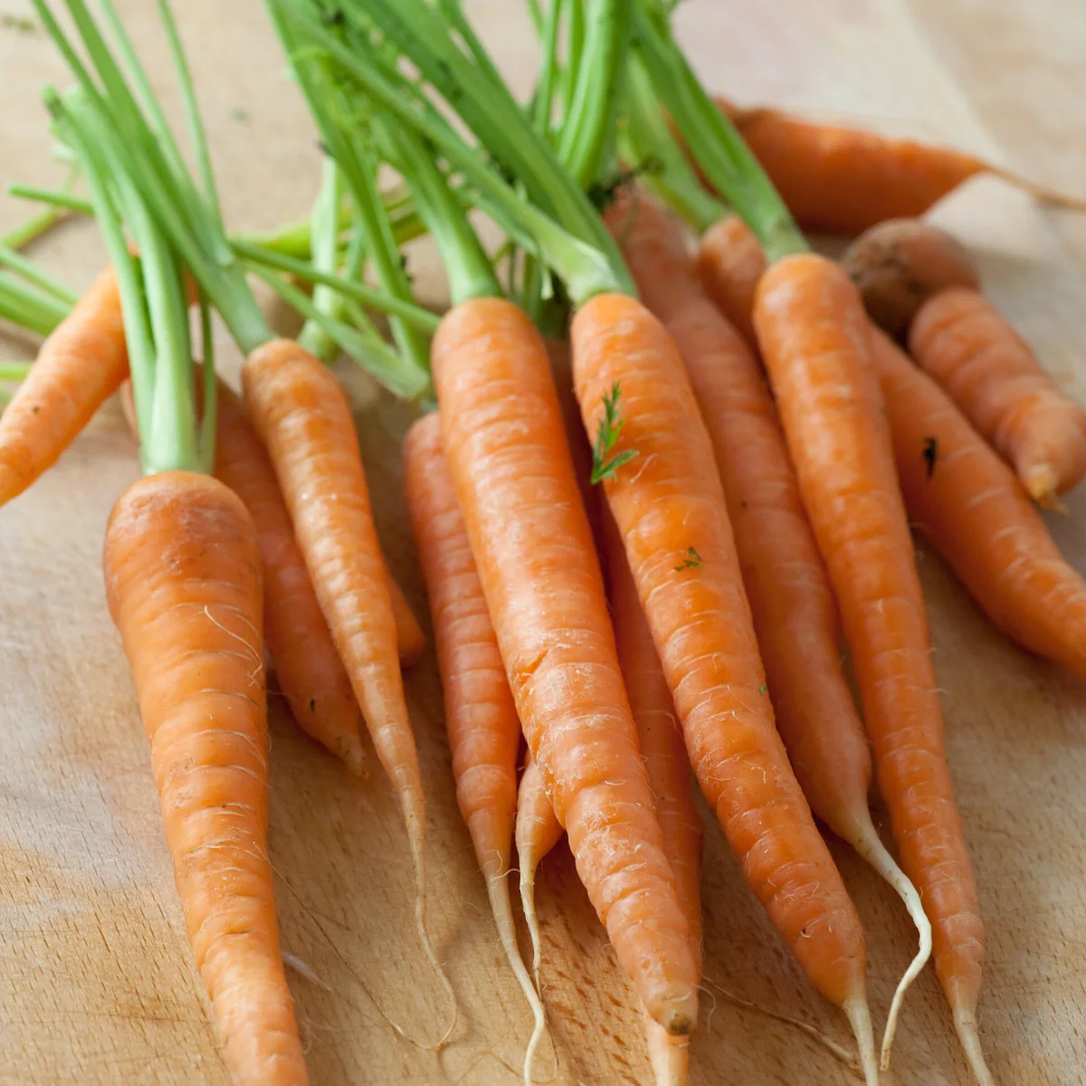Representative image of Carrots