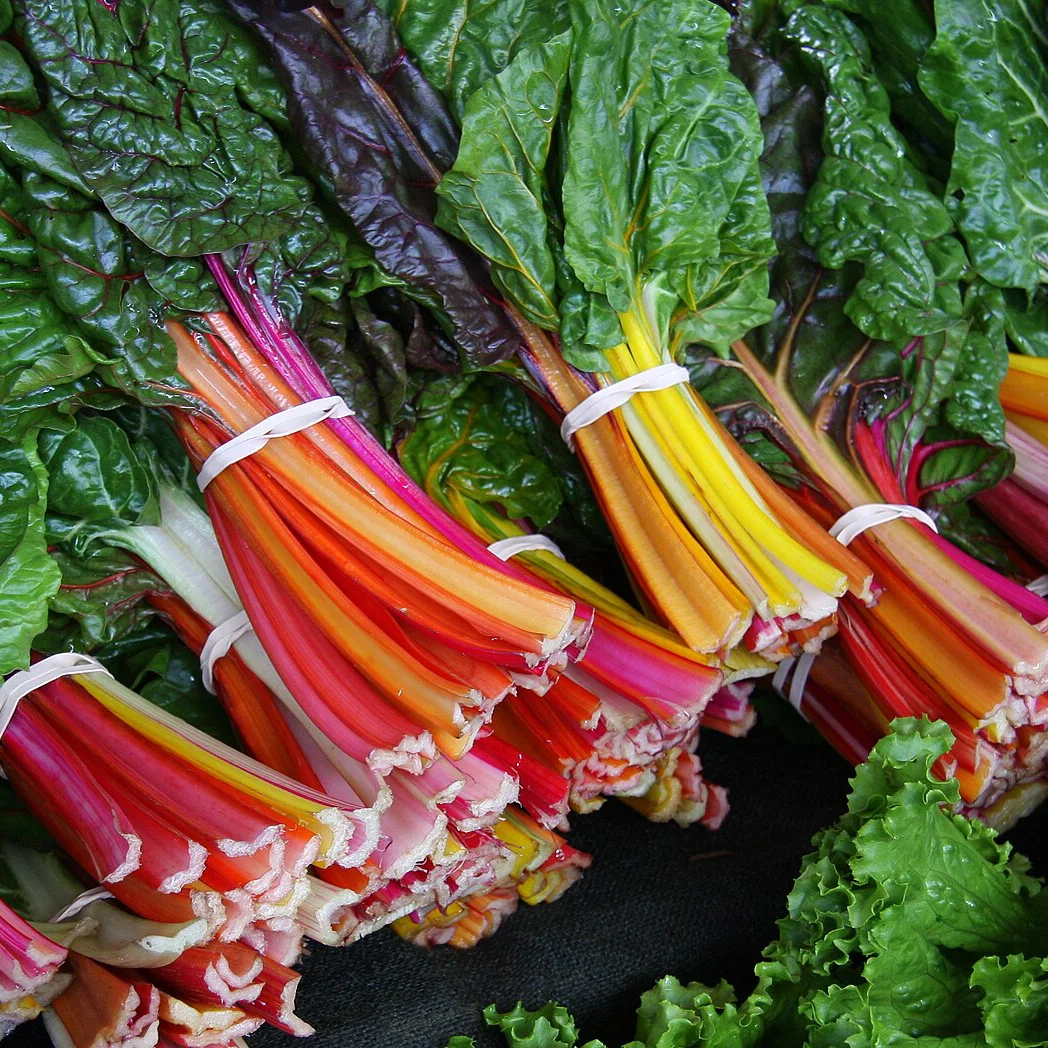 Representative image of Chard, Swiss