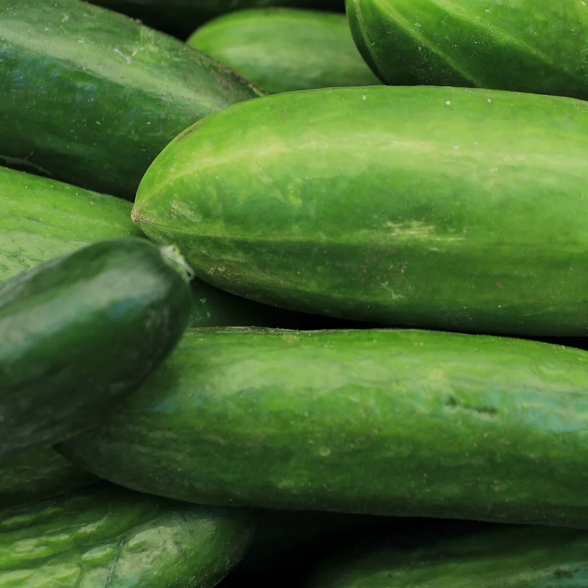 Representative image of Cucumbers