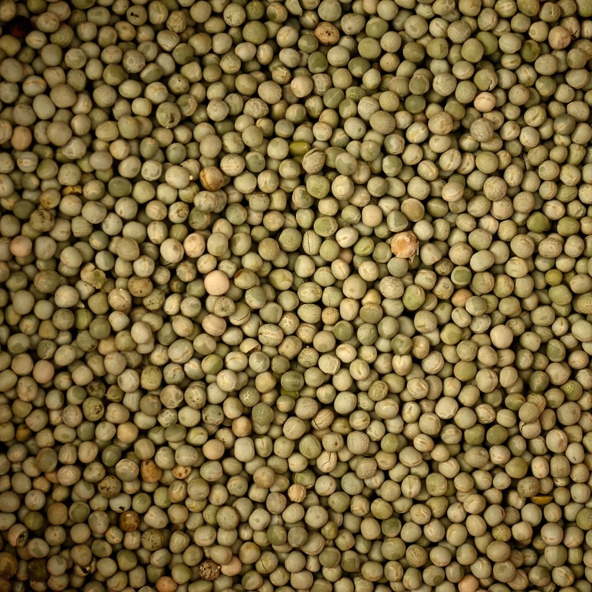 Representative image of Peas, Field (Dry Peas)