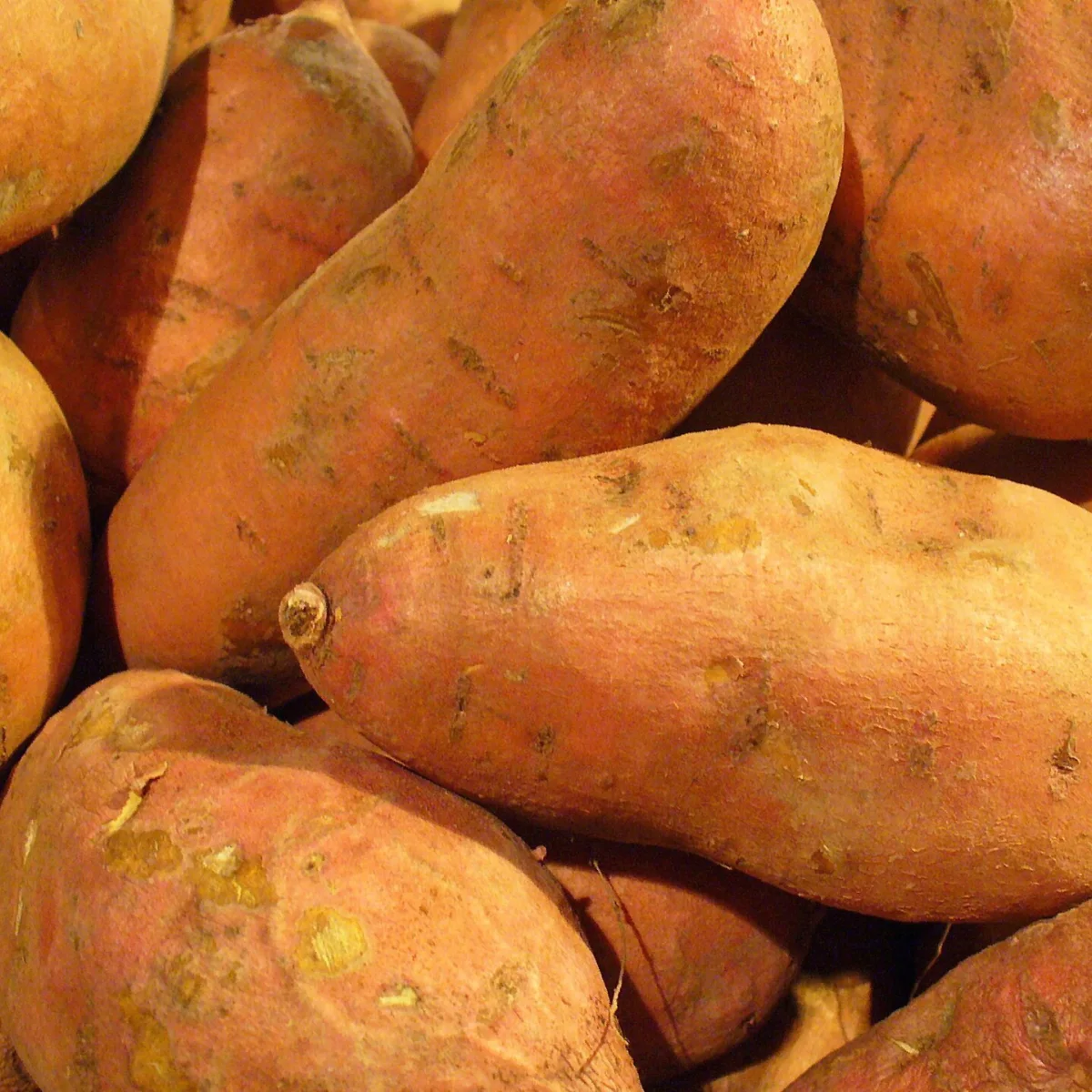 Representative image of Potatoes, Sweet