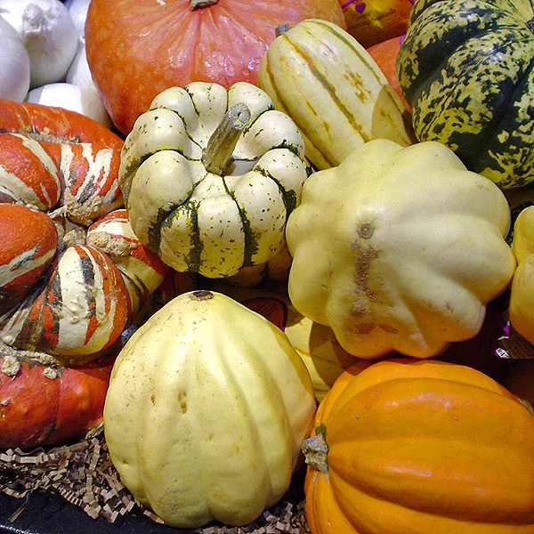 Representative image of Squash, Winter