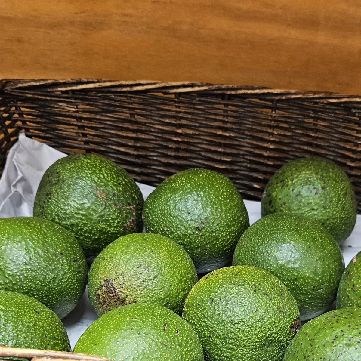 Large round green Reed avocados displayed in a basket
